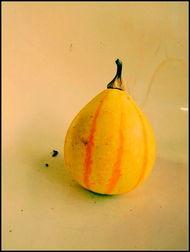 新沂市吃瓜视频