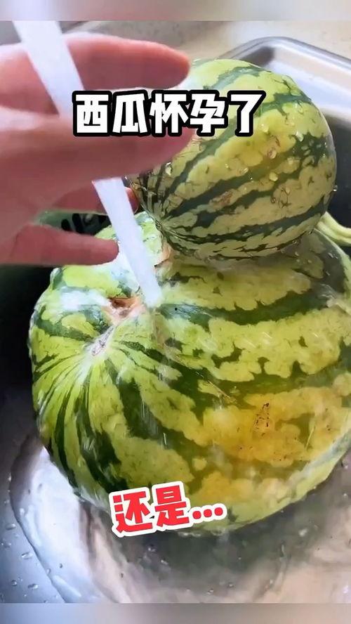 搞笑吃瓜配音视频大全,笑料横生！搞笑吃瓜配音视频大盘点