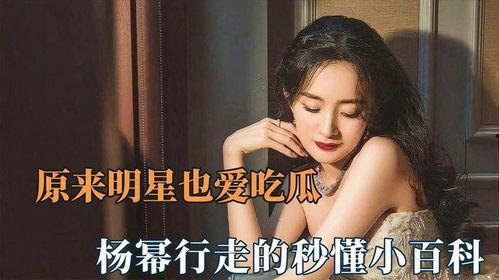 吃瓜杨幂视频大全集在线观看,笑料百出，欢乐无限