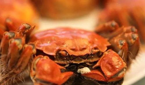 大闸蟹吃瓜视频,揭秘蟹界“吃货”新潮流