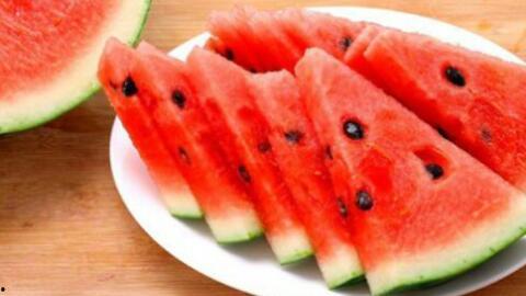 吃瓜吃鱼的视频,一场别开生面的美食盛宴